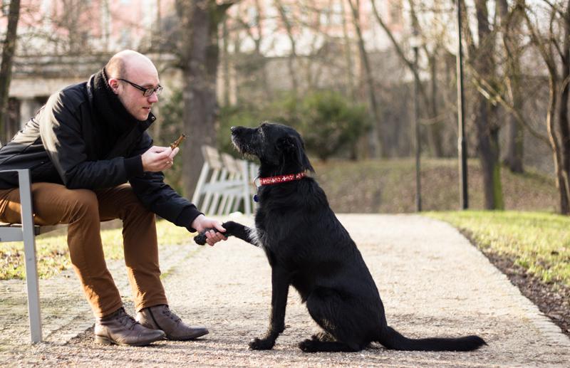 Chien et son maitre