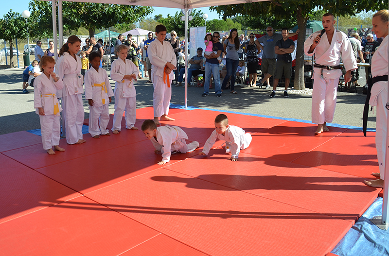 Forum asso judo