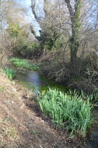 Lavoir Parc Vivier pour site4