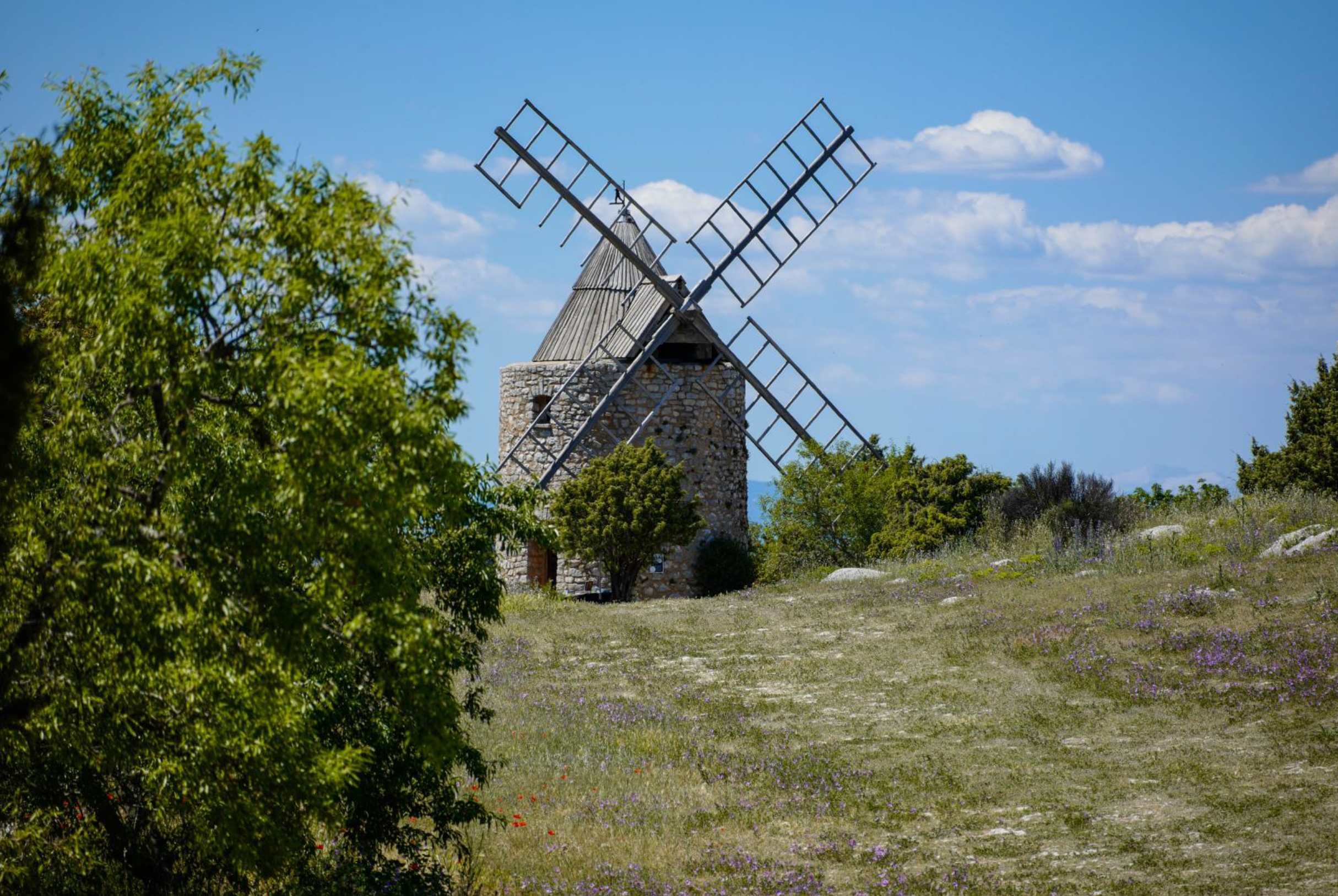 Les Lettres de Mon Moulin Affiche copie