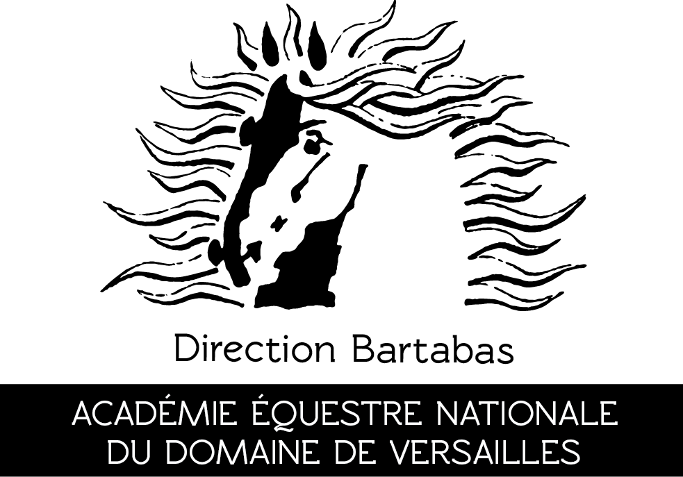 Logo Academie2016 NB 002