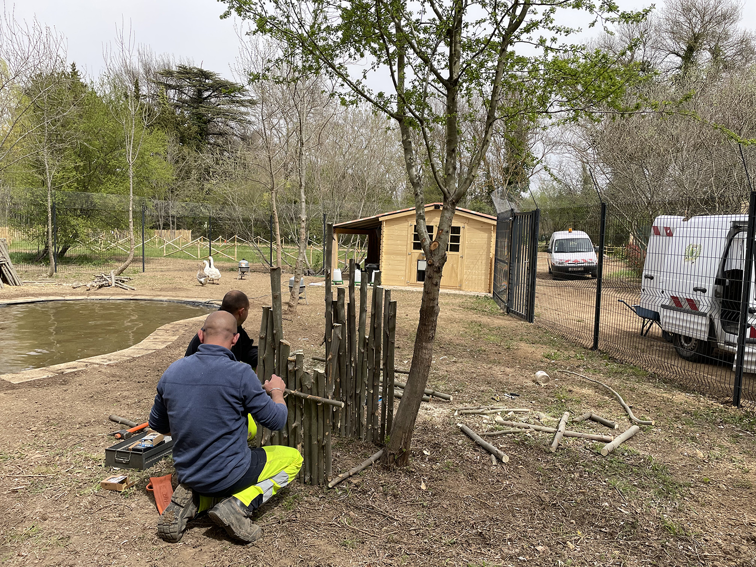 Arrivée de la basse cour Parc du Vivier 10