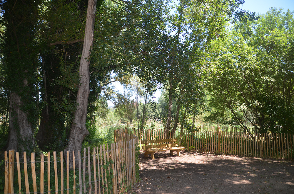 Arrivée de la basse cour Parc du Vivier 8