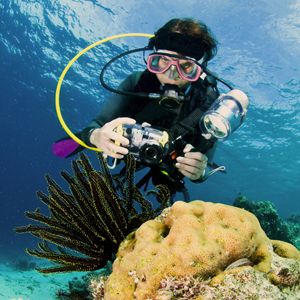 Il était une fois l'image sous-marine Il était une fois l'image sous-marine