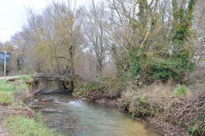 Entretien des berges de lIssole 1