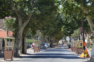 Jardinieres bd mourillon2